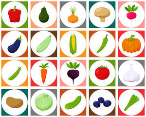 A set of colored icons with vegetables. A white circle on a square colored background. It can be used as a seamless pattern for packaging and textiles. Bright vector elements in a flat style.