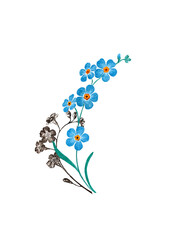 Forget me not flowers set isolated on white background.
Botanical line art. Black and white hand drawn illustration. Hand drawn watercolor illustration.