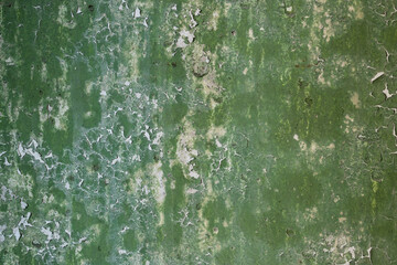 Green peeling paint on the wall. Old concrete wall with cracked flaking paint. Weathered rough painted surface with patterns of cracks and peeling. High resolution texture for background and design.