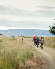 Fototapeta na wymiar Three people cycling the Otago Central Rail Trail in the countryside, South Island. Vertical format.