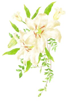 カサブランカ Images – Browse 1,539 Stock Photos, Vectors, and