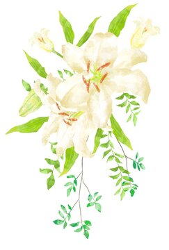 806 Best カサブランカ Images Stock Photos Vectors Adobe Stock