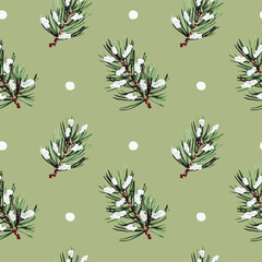 Pattern of pine branches with snow on a green background