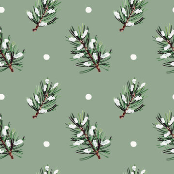 Pattern of pine branches and snow coniferous trees needles on a green background