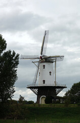 Windm&uuml;hle De Koe in Veere, Zeeland