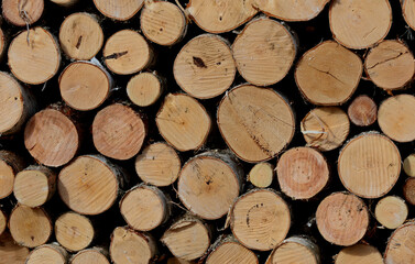A stack of wood waiting to be chopped