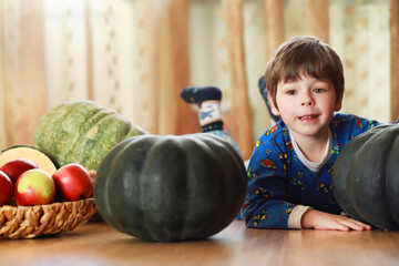 Fototapeta premium Little child choose a pumpkin at autumn. Child sitting on giant pumpkin. Pumpkin is traditional vegetable used on American holidays - Halloween and Thanksgiving Day.