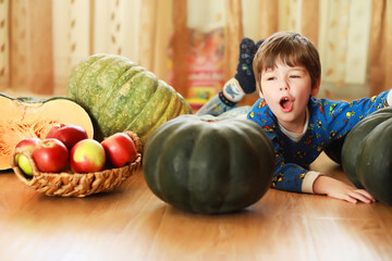 Fototapeta premium Little child choose a pumpkin at autumn. Child sitting on giant pumpkin. Pumpkin is traditional vegetable used on American holidays - Halloween and Thanksgiving Day.