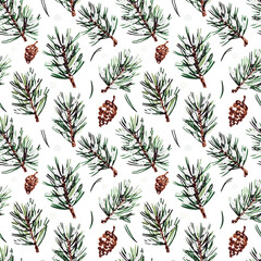 Pattern of pine branches and cones coniferous trees needles on a white background