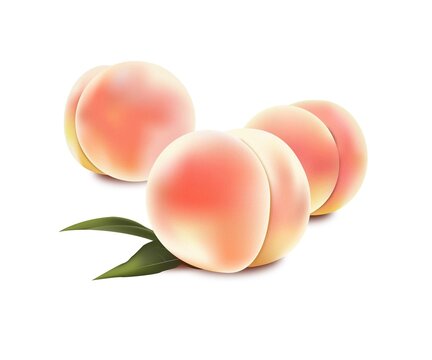2 151 Best 桃 イラスト Images Stock Photos Vectors Adobe Stock 2 151 Best 桃 イラスト Images Stock Photos Vectors Adobe Stock