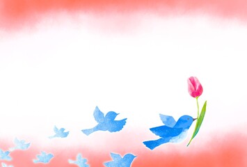 Obraz na płótnie Canvas 優しいタッチのチューリップをくわえる幸せを運ぶ青い鳥のフレーム