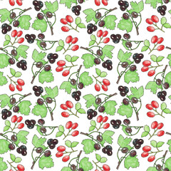 Seamless pattern with blackcurrant and rosehip on a white background. Vitamin C. The illustration is hand-drawn in watercolor. it can be used on fabrics, wallpaper, covers, menus, packaging paper.