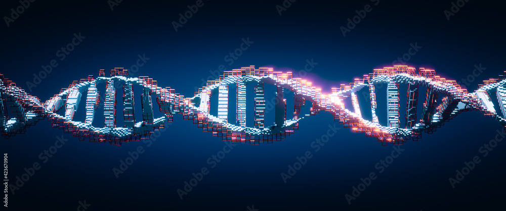 Wall mural dna digital. study of gene structure of cell. molecule structure. genetic engineering of the future.