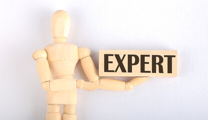 Wooden man shows with a hand to block with text EXPERT