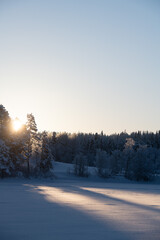 Frozen Lake in Swedish Taiga with Forests and Sunset