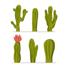 Cactus vector cartoon set isolated on a white background.