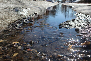 early spring. a stream flows through the snow on a sunny day.