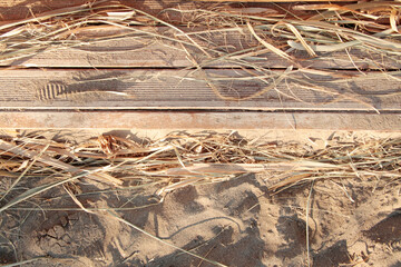 Seaside beach view. Summer vacation concept.