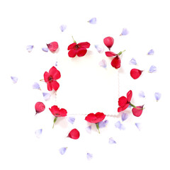 blue petals and red flowers on a light background with copy space in the center. a place for tender wishes