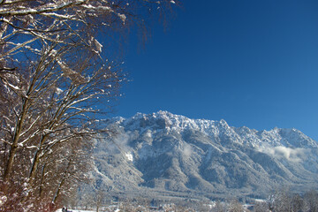 Winter mountain panorama in Schaan in Liechtenstein 16.1.2021
