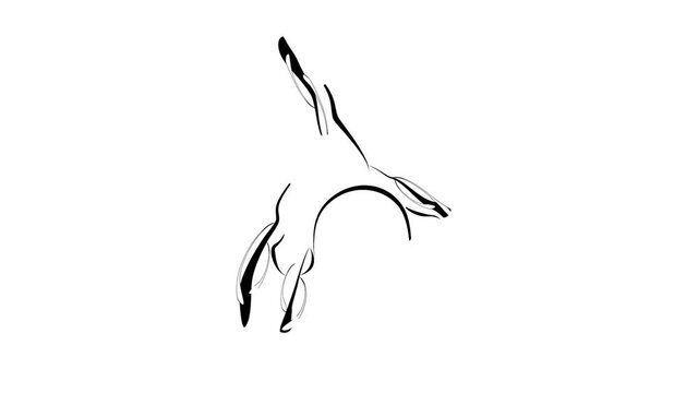 Pilates pose animation