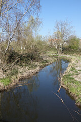 Rodau zwischen Juegesheim und Hainhausen