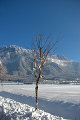 Winter mountain panorama in Schaan in Liechtenstein 16.1.2021