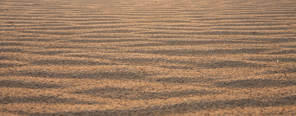 Waves of sand, textured dunes in bright sunlight