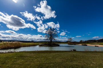 weiher im limpachtal schweiz bern mit schönwetterwolken und sonnenstrahlen