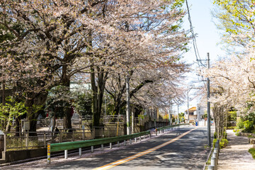 (東京都-風景)世田谷マンション街通りの風景６