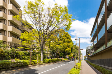 (東京都-風景)世田谷マンション街通りの風景４