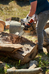 Lumberjack with chainsaw working