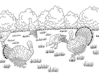 Fototapeta na wymiar Turkey farm bird yard graphic black white landscape sketch illustration vector