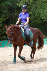 Girl and horse
