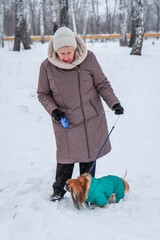Portrait of an elderly woman with a dog. Woman with pekingese dog walking on the snowy field.