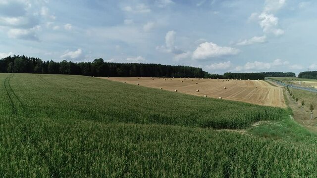 Ein Drohnenflug &uuml;ber ein Feld im Herbst mit angrenzendem Wald