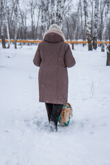 Portrait of an elderly woman with a dog. Woman with pekingese dog walking on the snowy field.