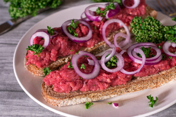 open sandwich with tatar and red onions