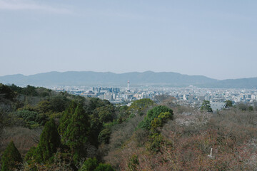 Fototapeta na wymiar 京都の街並み