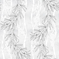 Seamless pattern with branch of sea buckthorn, berries and leaves on wavy striped background. Vector. Perfect for design templates, wallpaper, wrapping, fabric and textile.