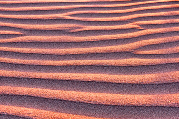 Harmonious lines of sand in the desert at sunset; bizarre wind patterns in the soft light of the setting sun
