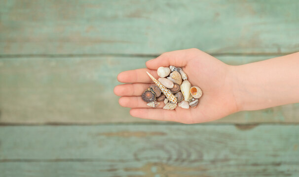 Child's hand with seashells on wooden background