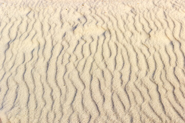 Surface of gray-yellow sand formed by the wind, background