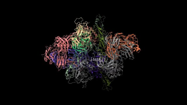 Structure of complement complex, animated 3D cartoon and Gaussian surface models with differently colored protein elements, black background 