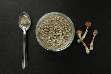 Microdosing concept. Dry psilocybin mushrooms on black background. Natural organic supplement....