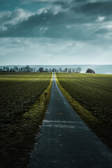 A concrete path in the countryside fields with spring light. Lower Saxony in Germany
