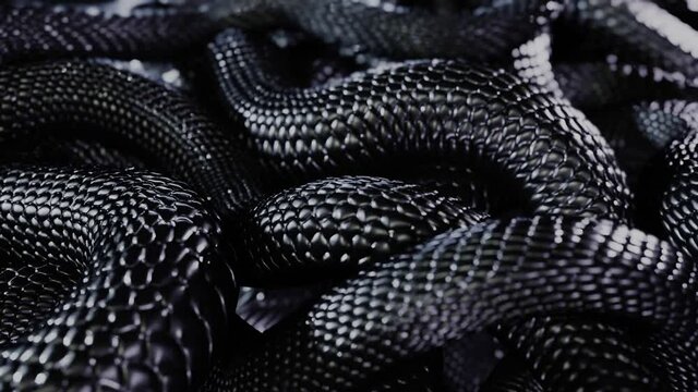 Pile of Black Snakes 3D Looped Animation