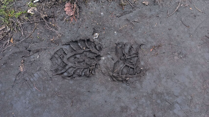shoe prints on the ground close up