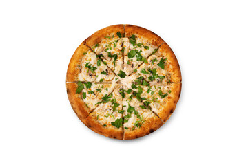 fresh pizza on a white background small