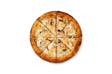 Fototapeta na wymiar fresh pizza on a white background small